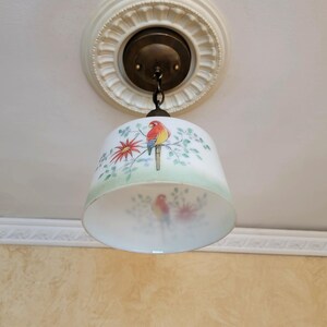 May include: A white glass pendant light fitting with a green and white floral design and a red and yellow bird. The fitting is hanging from a chain and has a brass ceiling mount.