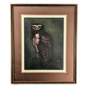 Mid Century Limited Edition Lithograph &quot;Spectacled Owl&quot; Signed by Artist