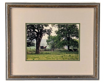 John W. H. Thomas Vintage Photograph of Amish Horse & Buggy 1986