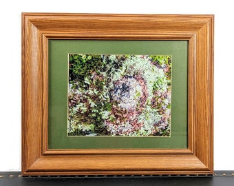 Rare Tresham Gregg Vintage Nature Fine Art Photograph Haines, Alaska