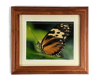 RM Fisher Macro photographie d’un papillon intitulée « Serenity »