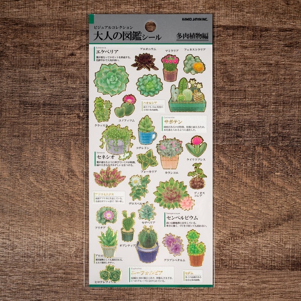 Kamio Japan- Visual Collection Gold Foil Sticker Series - Succulent plants