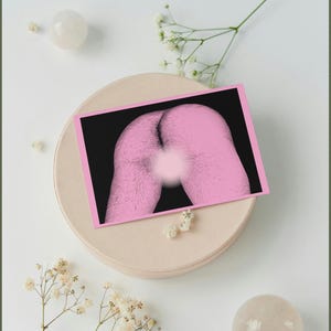 Dick & Pussy - Queer Trans-Masc Print