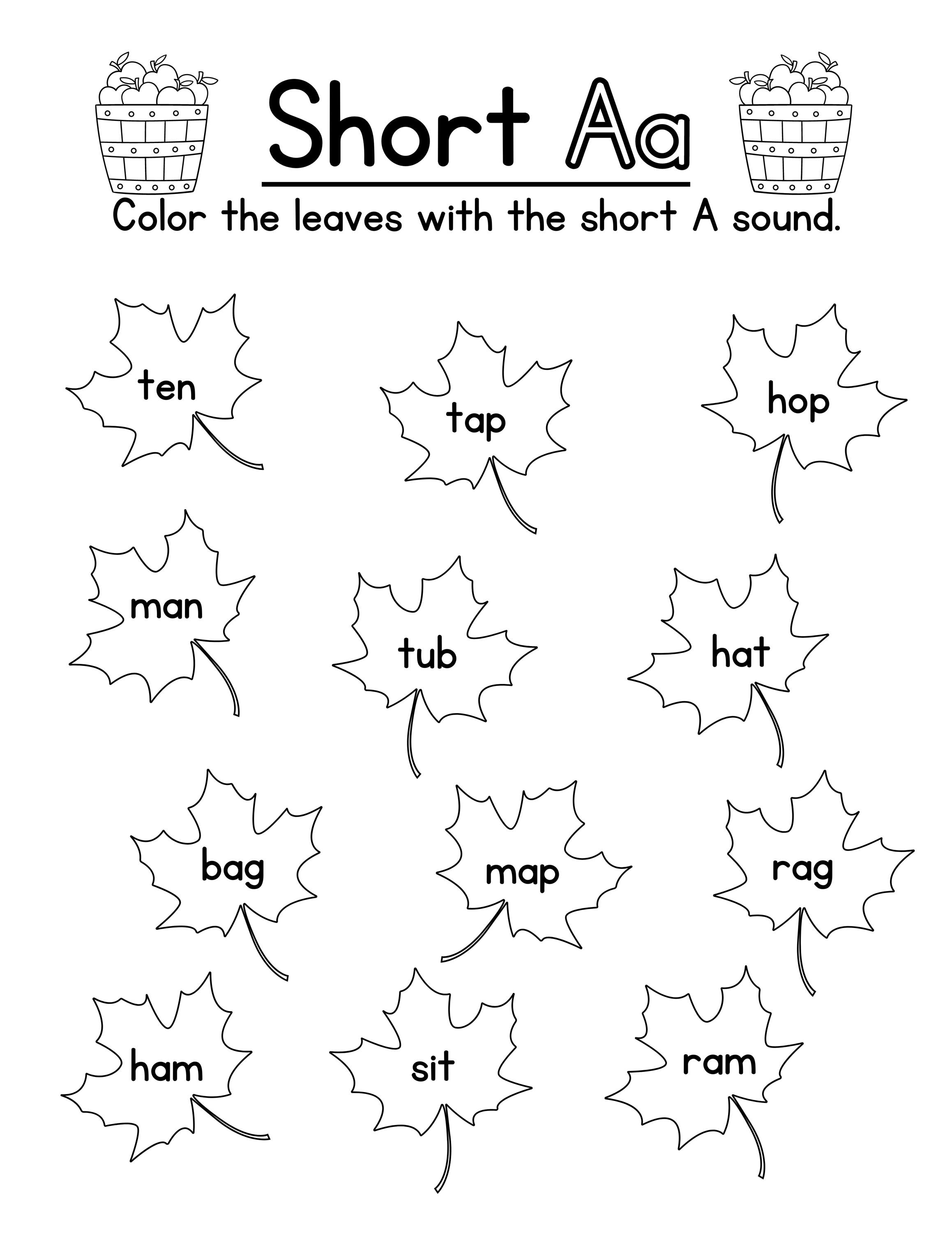 Fall Themed Short Vowel Practice Coloring Worksheets and Color by Vowel ...