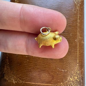 May include: A small, gold-colored pig charm with a textured surface. The pig has tiny legs, a small tail, and a loop for attaching to a necklace or bracelet. The charm is held between fingers.
