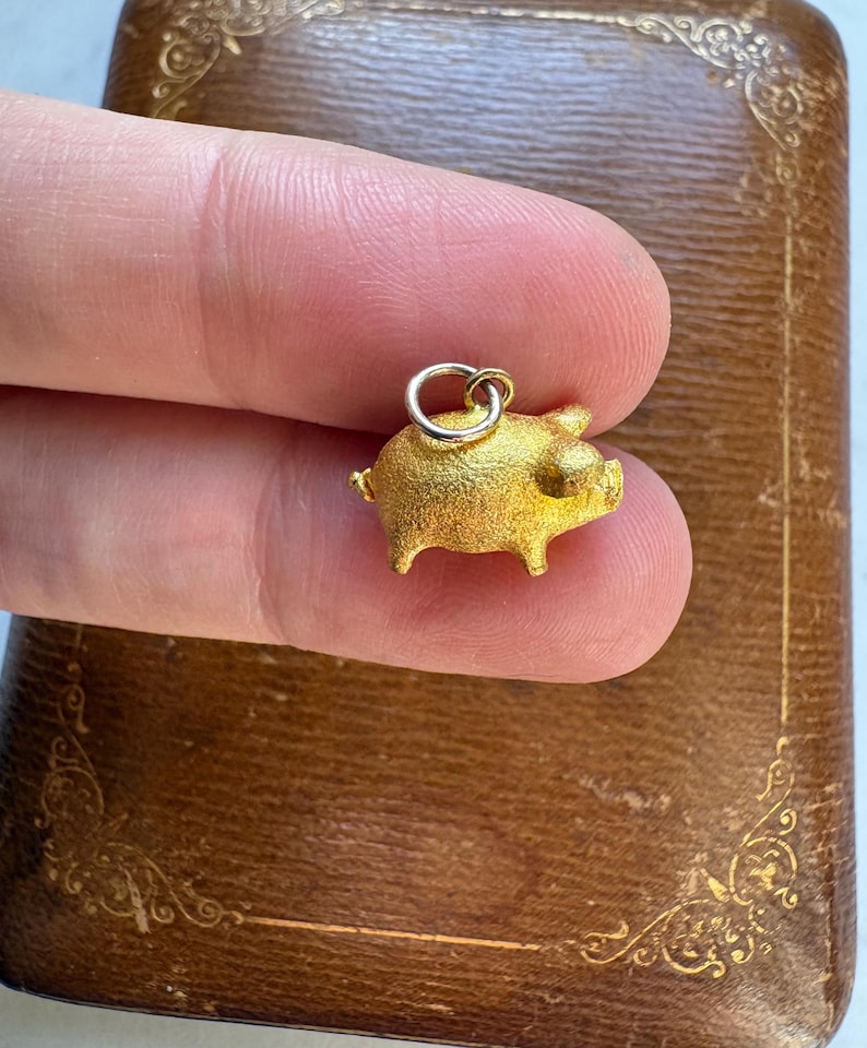 May include: A small, gold-colored pig charm with a textured surface. The pig has tiny legs, a small tail, and a loop for attaching to a necklace or bracelet. The charm is held between fingers.