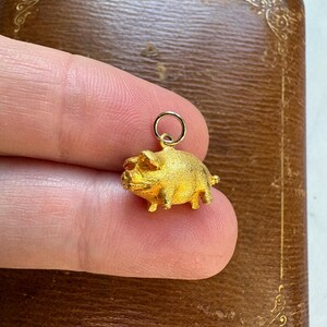 May include: A small, gold-colored pig charm with a textured surface. The pig has visible details like ears, snout, and legs. It is suspended from a small ring. The charm is held against a brown, textured background.