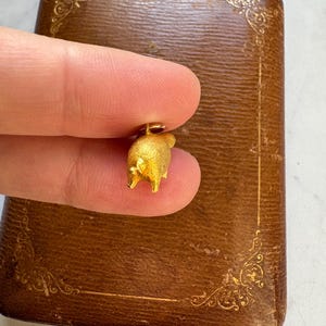 May include: A small, gold-colored pig charm with a textured surface. The charm is held in front of a brown, leather-like box with gold-colored decorative accents. The pig charm has small legs and a loop for a chain.