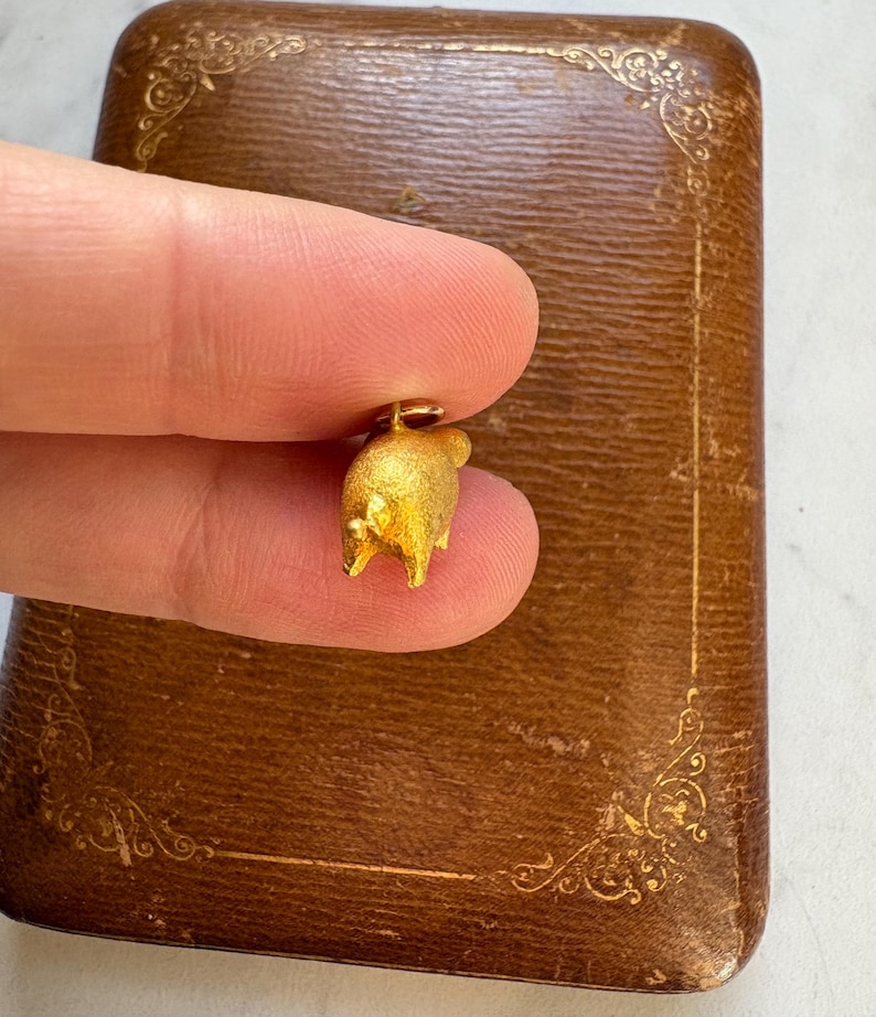 May include: A small, gold-colored pig charm with a textured surface. The charm is held in front of a brown, leather-like box with gold-colored decorative accents. The pig charm has small legs and a loop for a chain.