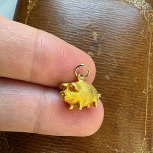 May include: A small, gold-colored pig charm with a textured surface. The charm is suspended from a small ring. The pig has visible legs, ears, and snout. The charm is held in a person's fingers.