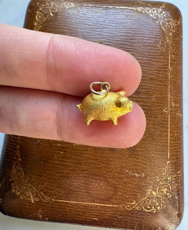 May include: A small, gold-colored pig charm with a textured surface. The charm has tiny legs, a curled tail, and a loop for attaching to a necklace or bracelet. The charm is held in front of a brown, decorative box.