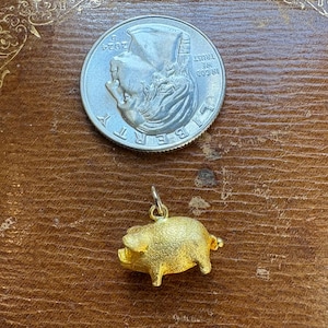 May include: A gold-colored pig charm with a small loop for attaching to a necklace or bracelet. A US quarter coin is next to the charm for size comparison. The charm is on a brown leather surface.