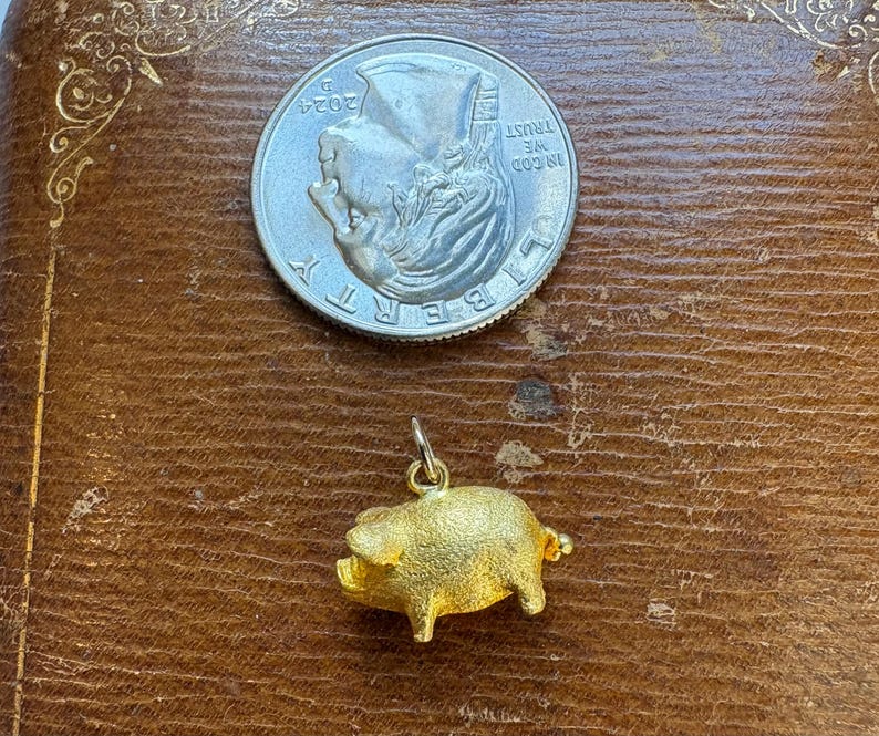 May include: A gold-colored pig charm with a small loop for attaching to a necklace or bracelet. A US quarter coin is next to the charm for size comparison. The charm is on a brown leather surface.