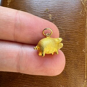 May include: A small, gold-colored pig charm with a textured surface. The charm has a loop at the top for attaching to a necklace or bracelet. The pig is shown against a brown background.