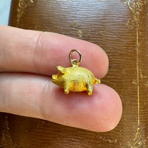 May include: A small, gold-colored pig charm with a textured surface. The pig has tiny legs, ears, and a curled tail. A small gold ring is attached to the top for hanging. The charm is held between two fingers.