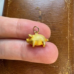 May include: A small, gold-colored pig charm with a textured surface. The charm has a loop at the top for attaching to a necklace or bracelet. The pig is shown against a brown background.