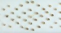 Gold Base Silver Stone Bindis: Indian Forehead Stickers (1mm, 2mm, 3mm)