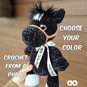 Könnte beinhalten: Ein handgefertigtes schwarzes Häkelpferd-Spielzeug mit weißen Akzenten, einem beigen Zaumzeug und einem weißen Band. Der Text auf dem Bild lautet "SPECIAL ORDER", "CHOOSE YOUR COLOR" und "CROCHET FROM A PHOTO". Das Jolly Toys-Logo ist ebenfalls sichtbar.