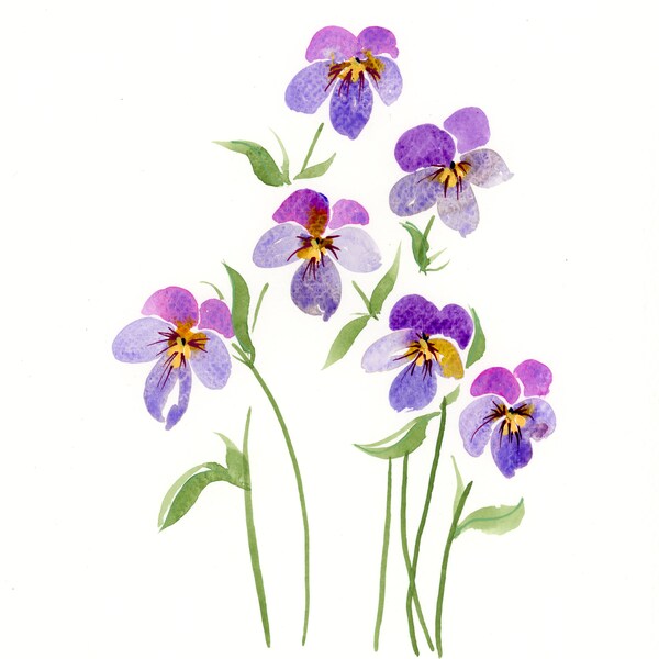 Pansy Watercolor Paintings Etsy Il 600x600.4403637474 Gzf3