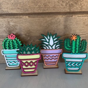 Mini Succulent DIY paint craft kit