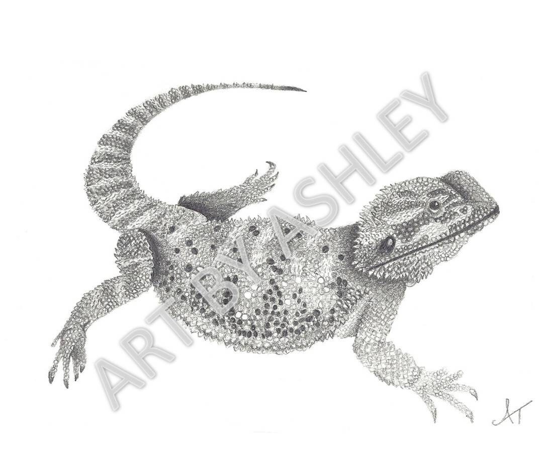 Bearded Dragon Art Giclee Print of Original Bearded Dragon | Etsy