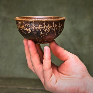 May include: A small, brown ceramic bowl with a decorative pattern. The bowl is being held in a person's hand.