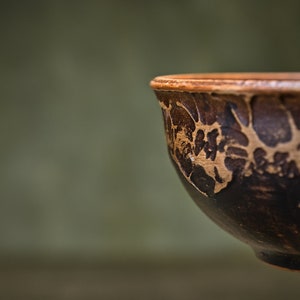 May include: A brown ceramic bowl with a decorative pattern. The bowl is partially visible, with the rim and side of the bowl in focus.