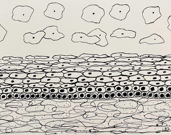 Cells, unframed ink drawing, original artwork, black and white
