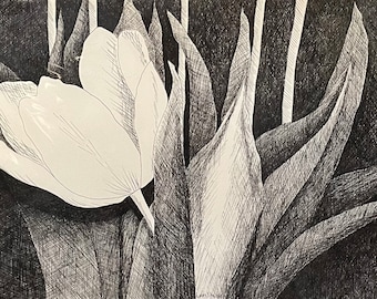Tulip, pen and ink, original artwork