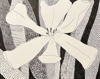Tulip, pen and ink drawing, original artwork