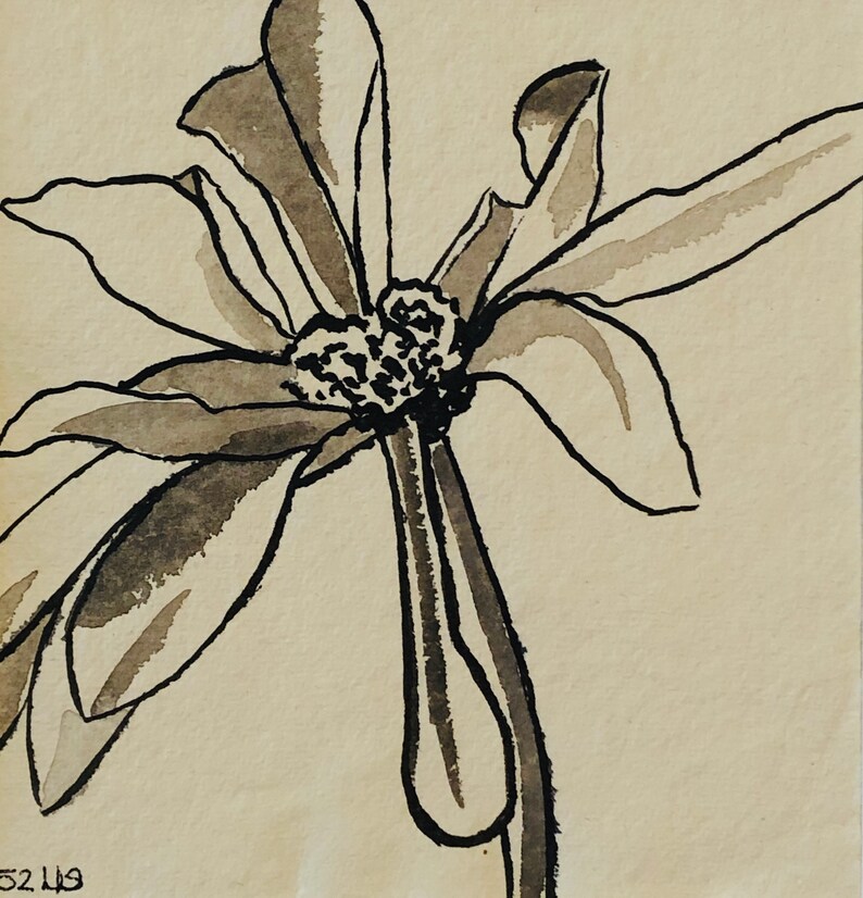 Tulip