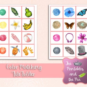 Color Sorting File Folder Printable