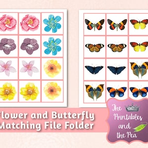 Flower & Butterfly Matching File Folder