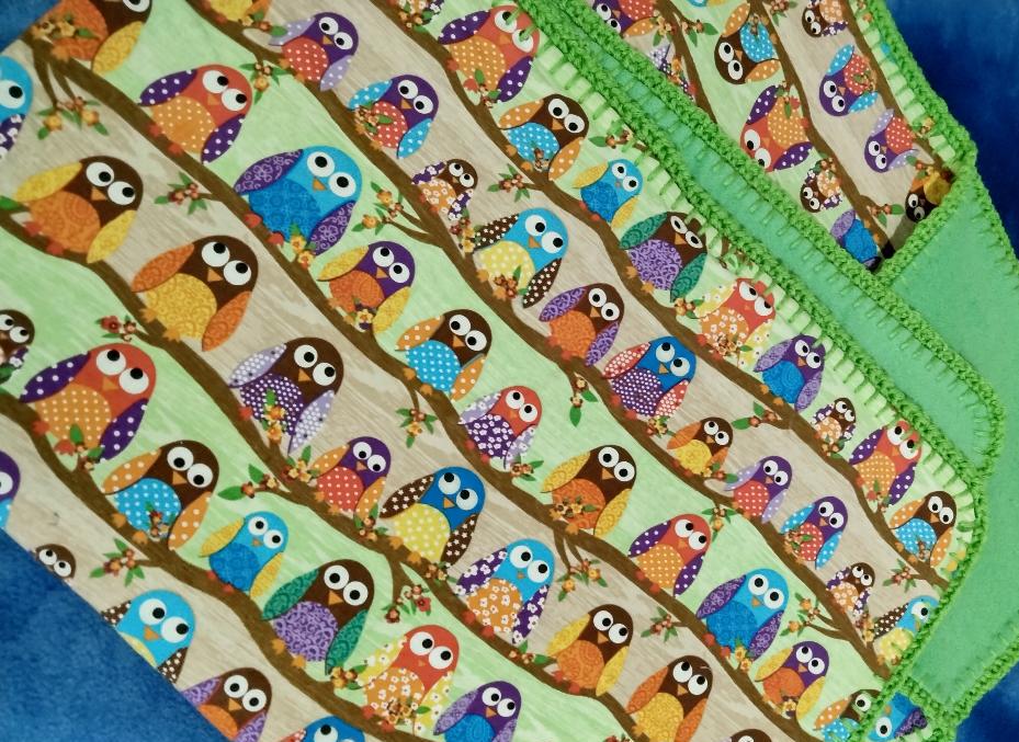 Cute Hoot Owls Baby Blanket