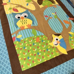 Colorful Owl Baby Blanket