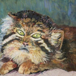 Pallas Cat | Pallas Cat Manul Wild Animal Appreciation Oil on Wood Panel