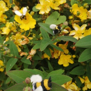 Needle felted Bumble Bee Pin Brooch