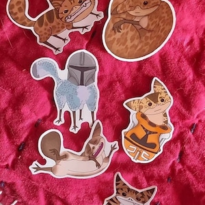 Lot d'autocollants pour chats Silly Loth (lot de 6)