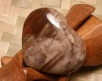 Fossilized wood BFC2 - 51,47 Gr heart
