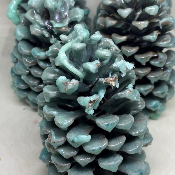 Scented Pine Cone Fire Starters, Fire Pit Starters, Campfire Starters, Fireplace Starters, Bonfire Starters, Holiday Scented Cones