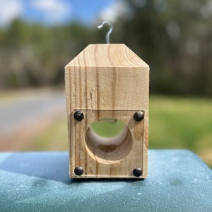 Carpenter Bee/ Wood / Boring Bee Trap