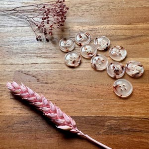 May include: A collection of clear, tortoiseshell-patterned buttons with four holes. The buttons are scattered on a wooden surface, alongside dried pink and brown floral elements. The buttons are a classic sewing supply.
