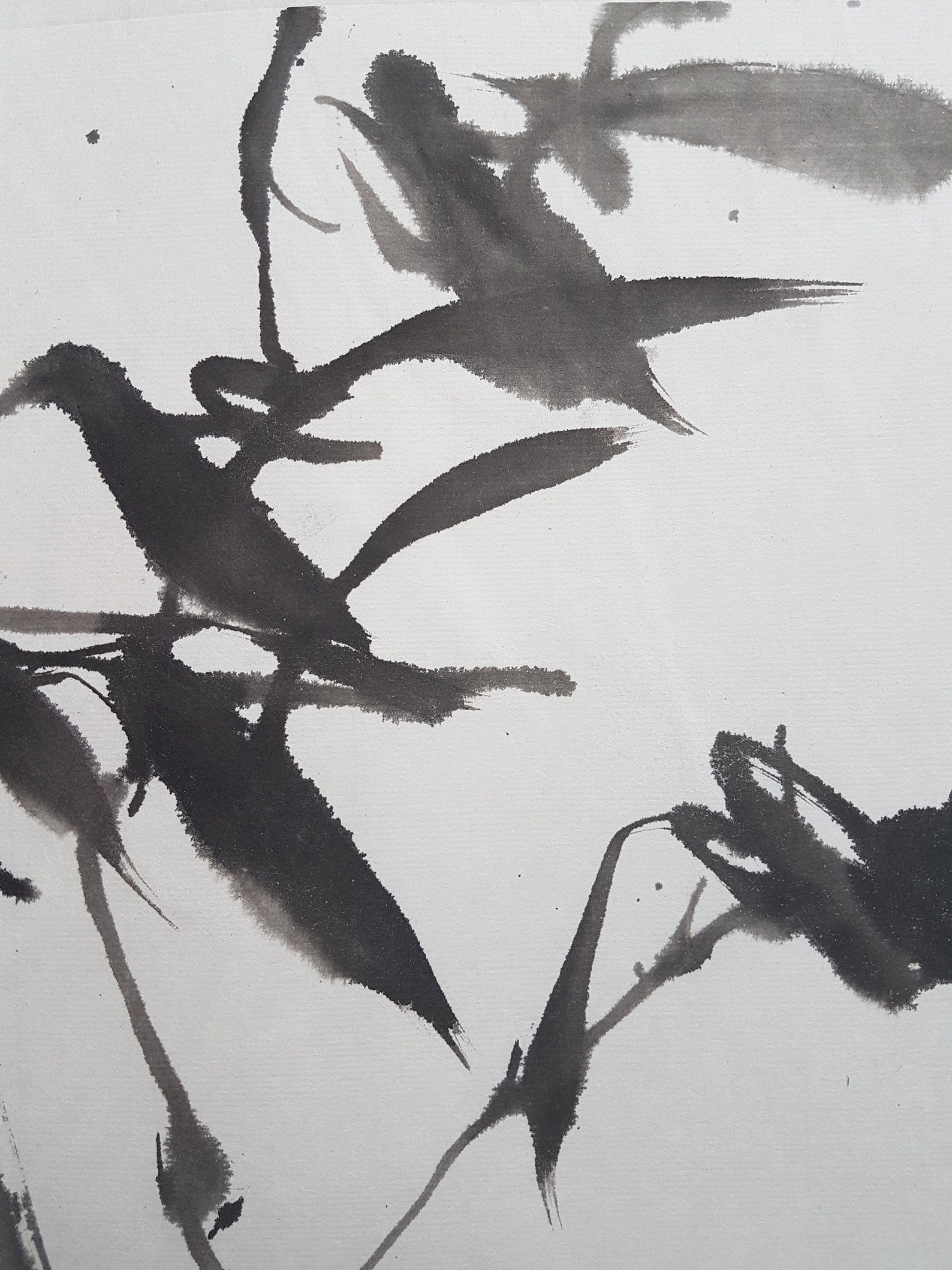 Original Sumie Bamboo in the Wind Etsy