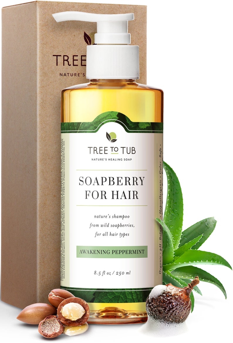 Soap Nut Shampoo Natural Hair Product Detox Shampoo Sls Etsy