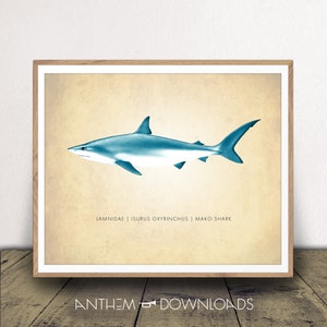 Mako Art Print - Hai Karte - Naturhistorisches Poster - Klassenzimmer Dekor - Wissenschaftliche Wandkunst - digitaler Download!