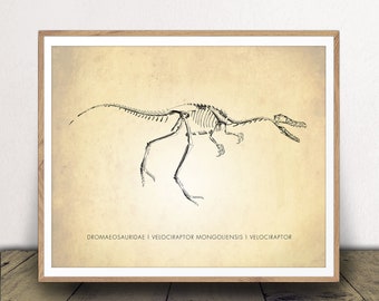 Velociraptor Art Print - Dinosaur Poster - Natural History Chart - Classroom Decor - Scientific Wall Art - Print at Home!