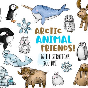 ANIMAUX DE L'ARCTIQUE Clipart aquarelle - imprimables mignons créatures d'hiver - art amusant pour les enfants pour les enseignants - narval, pingouin, morse, macareux et plus !