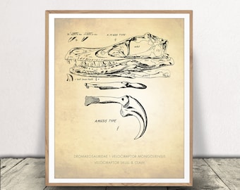 Raptor Art Print - Dinosaur Poster - Velociraptor Skull and Claw Chart - Classroom Decor - Scientific Wall Art - Print at Home!