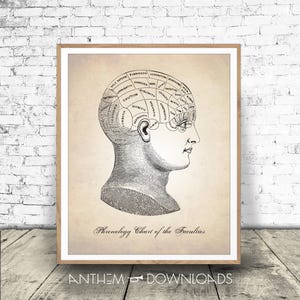 Phrenology Diagram - Medical Illustration - Human Anatomy Print - Psychology Head - Printable Download!