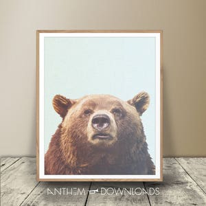 Grizzly Bear Portrait - Printable Bear Art - Grizzly Print - Farmhouse Style - Country Decor - Ranch Wall Art - Instant Download!
